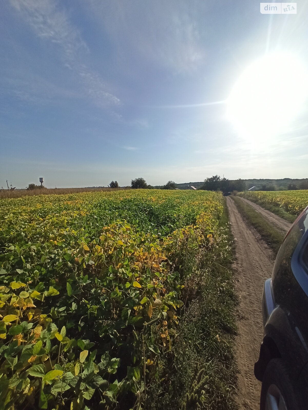 Земельна ділянка під житлову забудову в Великій Березовиці, площа 14.9 сотки фото 1