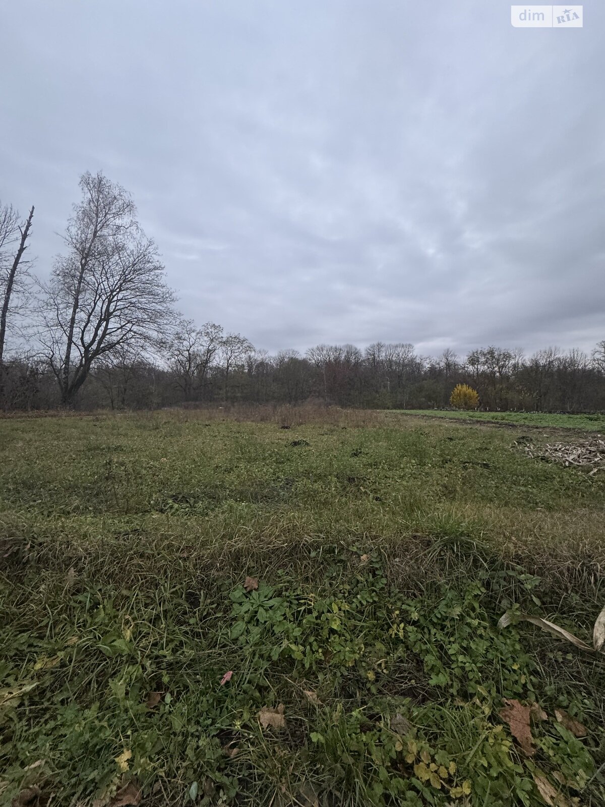 Земельный участок под жилую застройку в Великой Березовице, площадь 10 соток фото 1