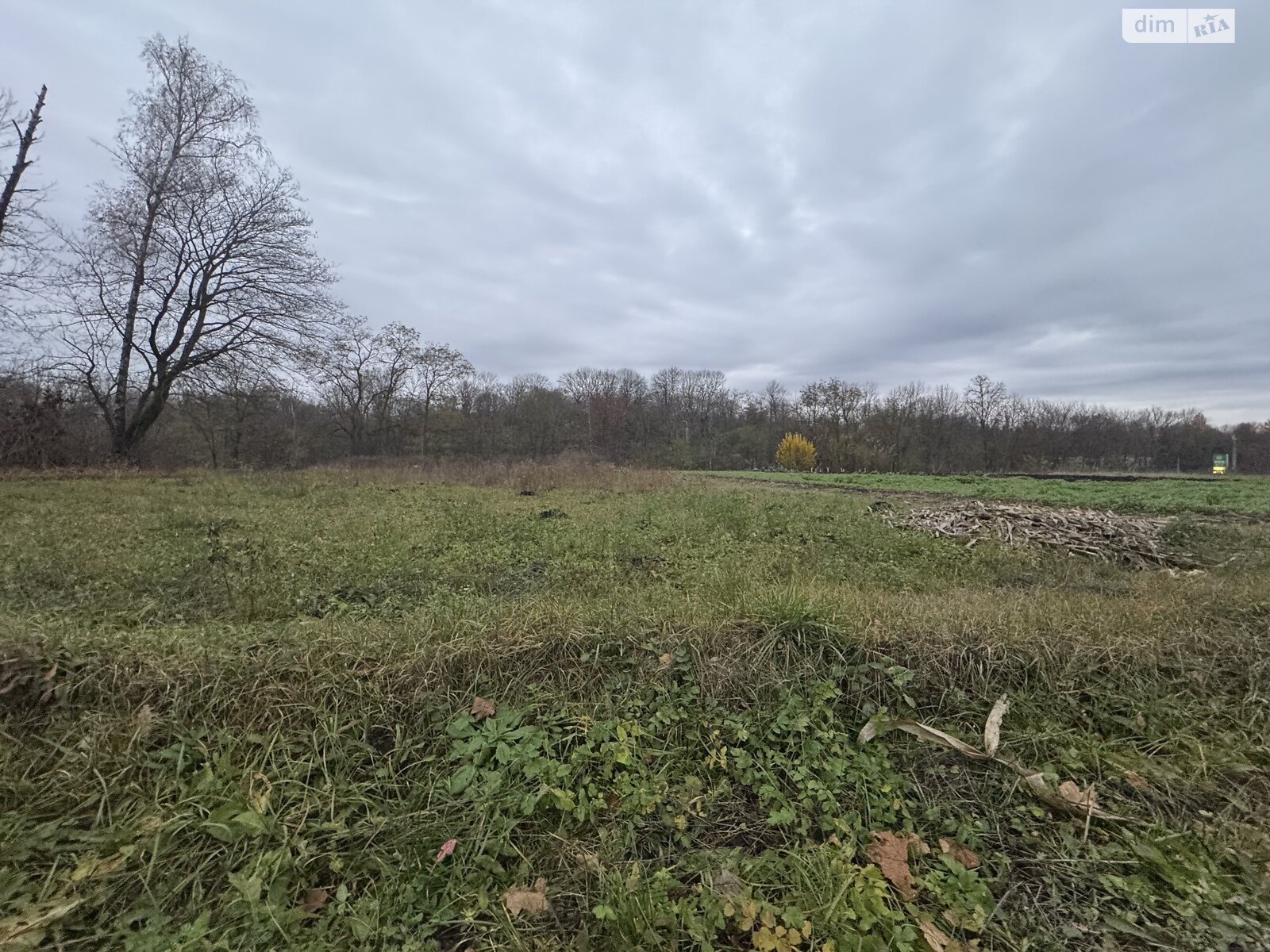 Земельный участок под жилую застройку в Великой Березовице, площадь 10 соток фото 1