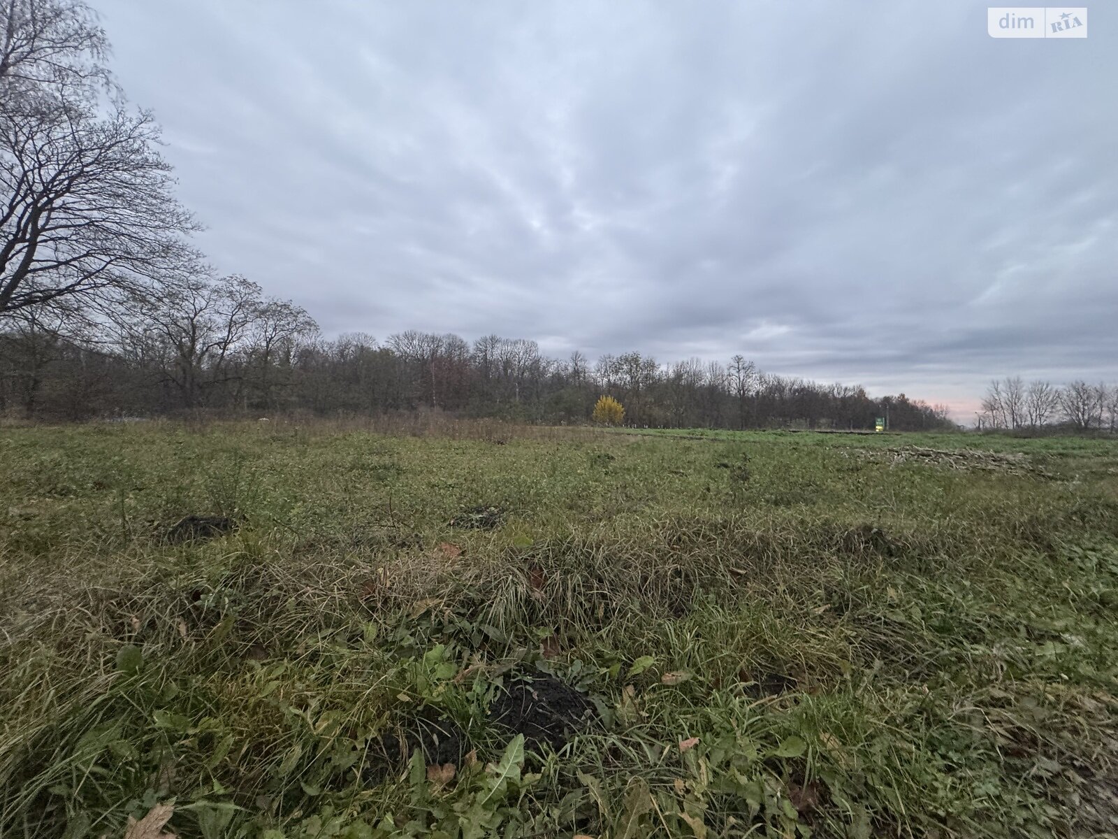 Земельный участок под жилую застройку в Великой Березовице, площадь 10 соток фото 1