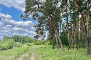 Земельный участок под жилую застройку в Великой Бугаевке, площадь 25.15 сотки фото 2 Земельный участок под жилую застройку в Великой Бугаевке, площадь 25.15 сотки фото 2