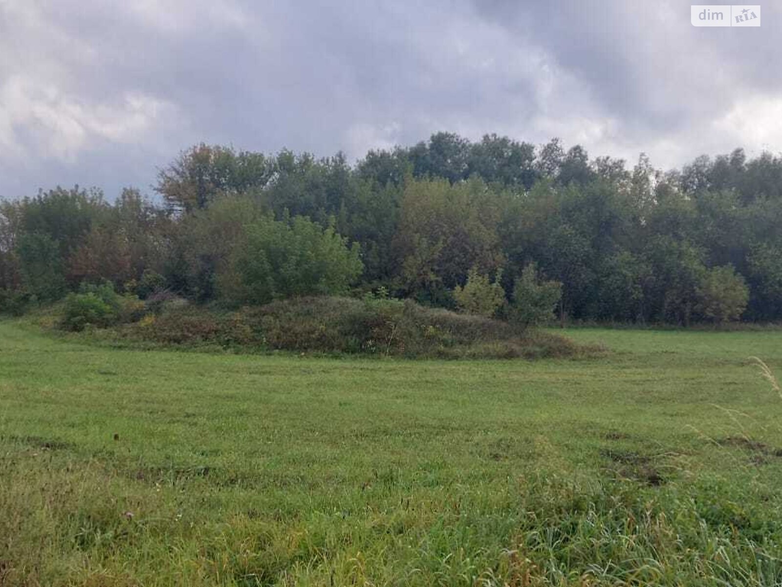 Земельна ділянка під житлову забудову в Великій Бугаївці, площа 43 сотки фото 1