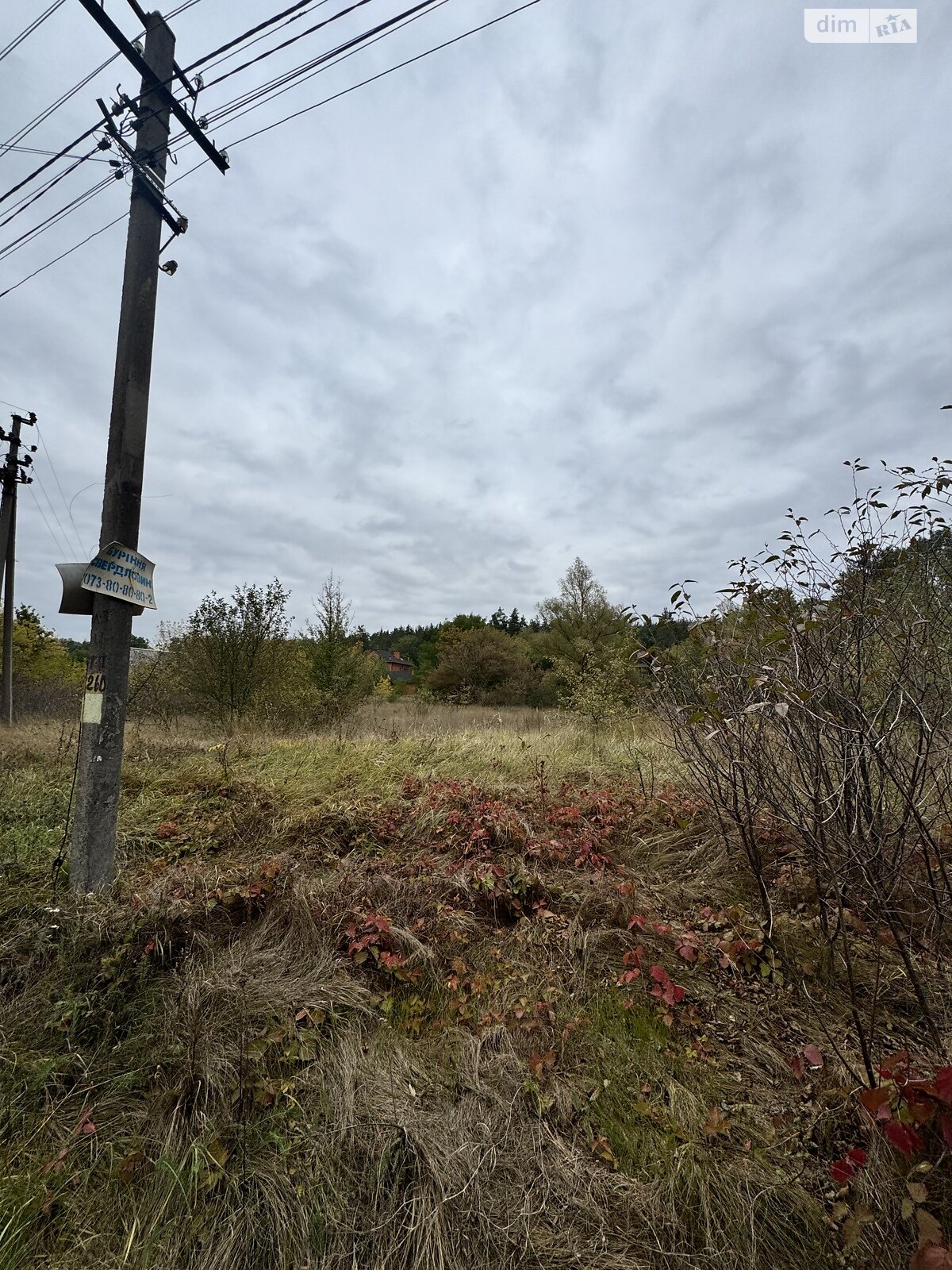 Земельный участок под жилую застройку в Великой Бугаевке, площадь 18.61 сотки фото 1