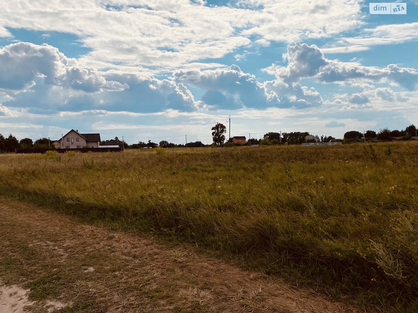 Земельна ділянка під житлову забудову в Великій Димерці, площа 0.1 Га фото 1