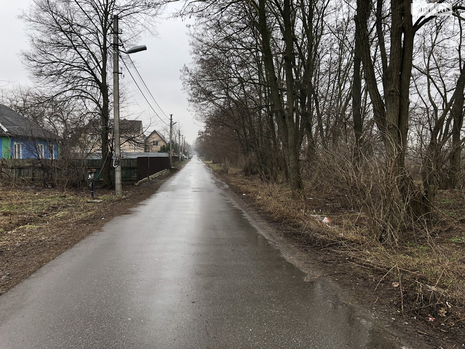 Земельна ділянка під житлову забудову в Великій Димерці, площа 100 соток фото 1