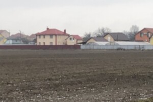 Земельна ділянка під житлову забудову в Великій Димерці, площа 100 соток фото 2