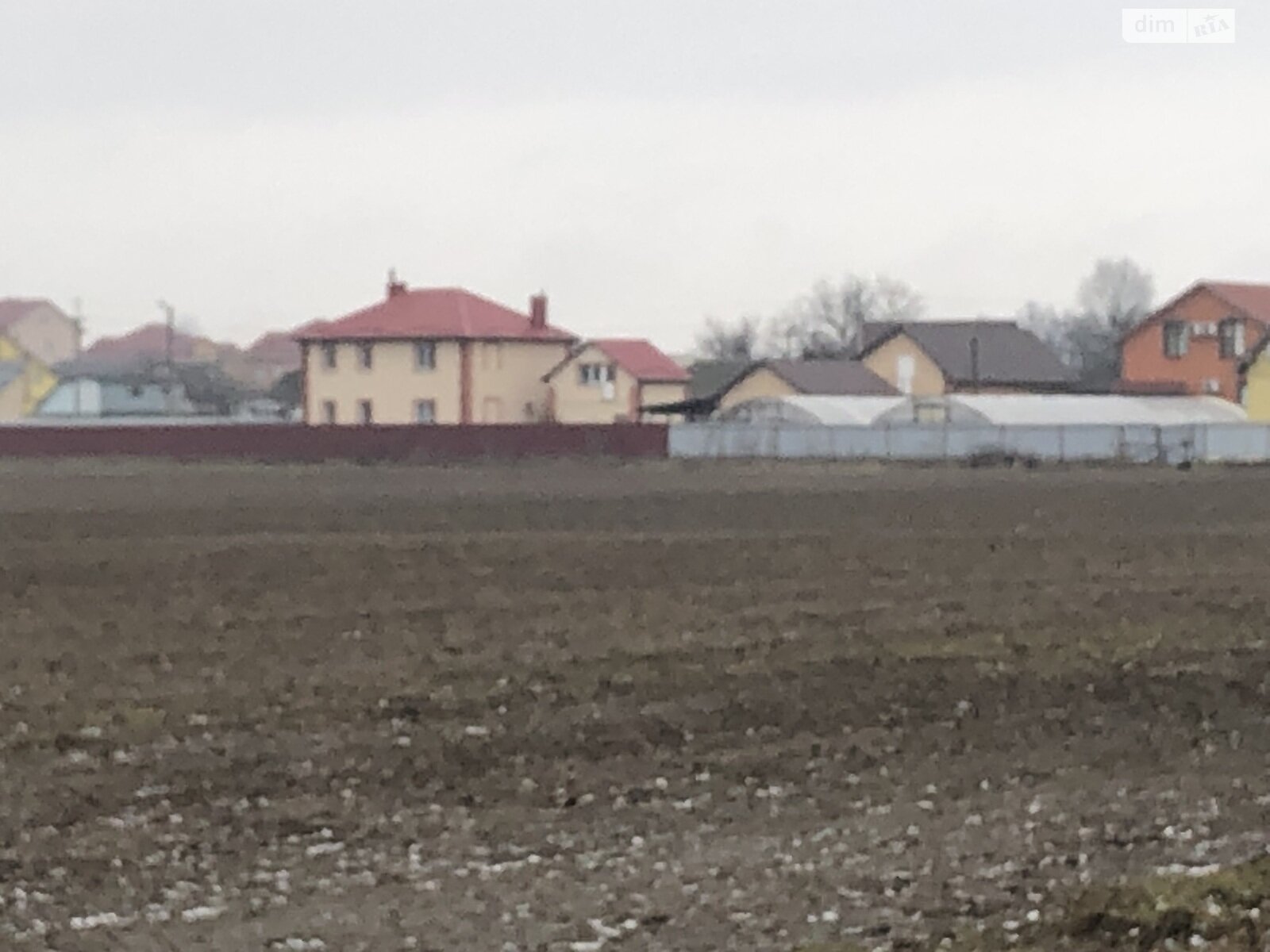 Земельна ділянка під житлову забудову в Великій Димерці, площа 100 соток фото 1