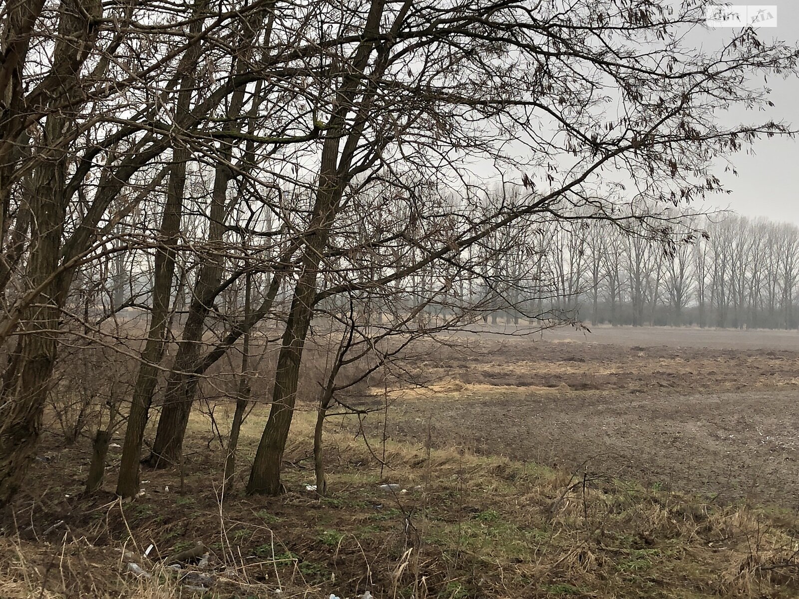 Земельна ділянка під житлову забудову в Великій Димерці, площа 100 соток фото 1