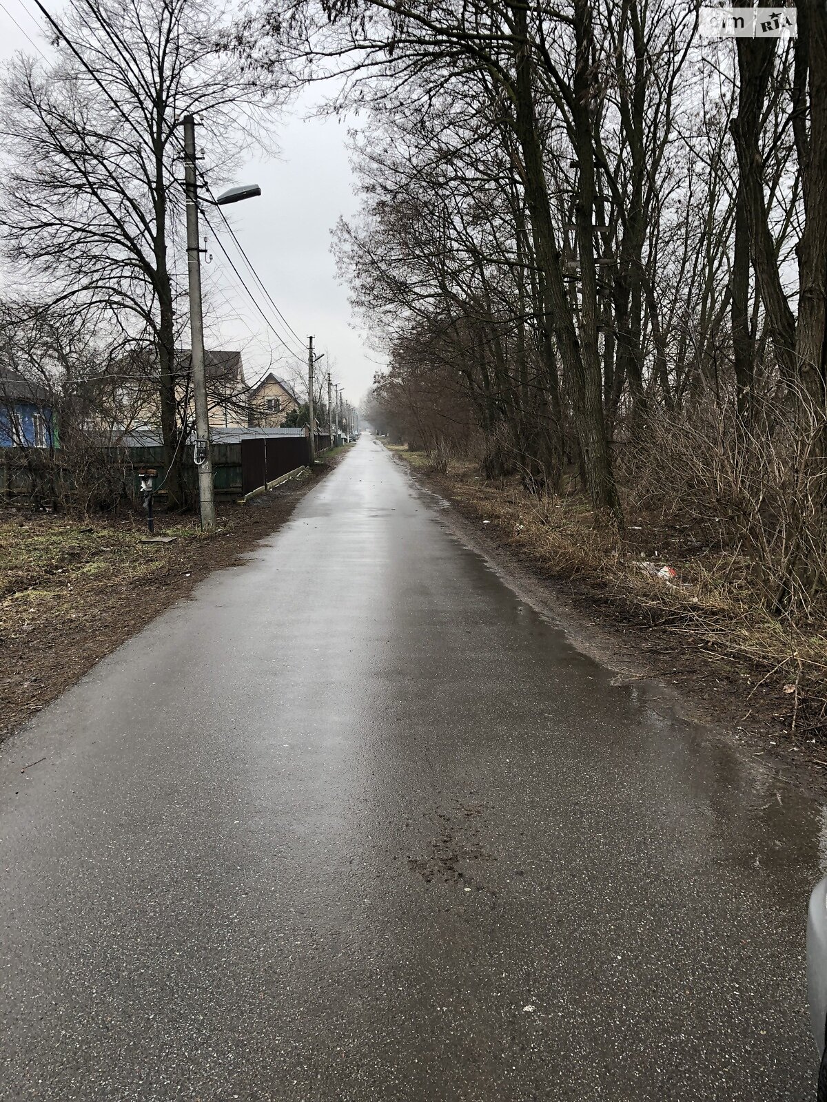 Земельна ділянка під житлову забудову в Великій Димерці, площа 100 соток фото 1