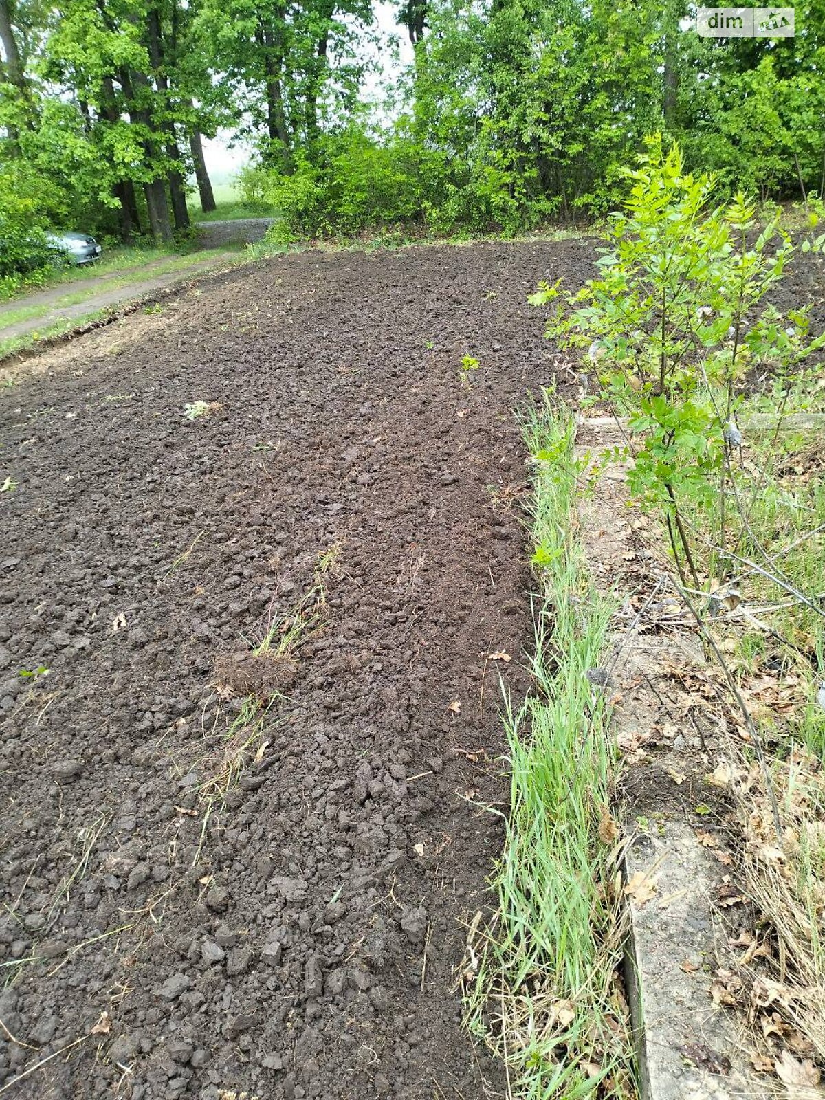 Земельный участок под жилую застройку в Великой Ольшанке, площадь 12 соток фото 1 Земельный участок под жилую застройку в Великой Ольшанке, площадь 12 соток фото 1
