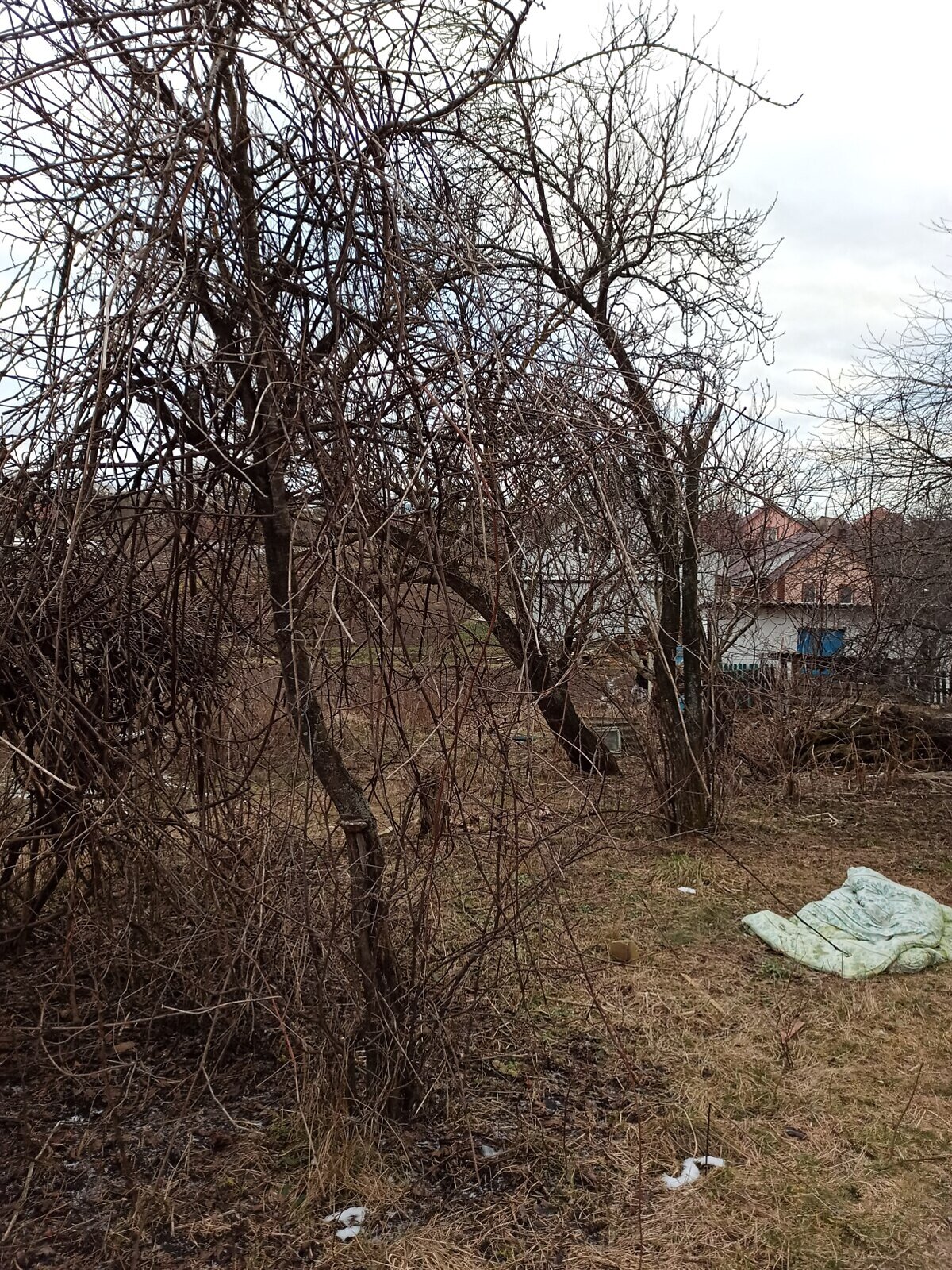 Земельный участок под жилую застройку в Великой Омеляне, площадь 15 соток фото 1