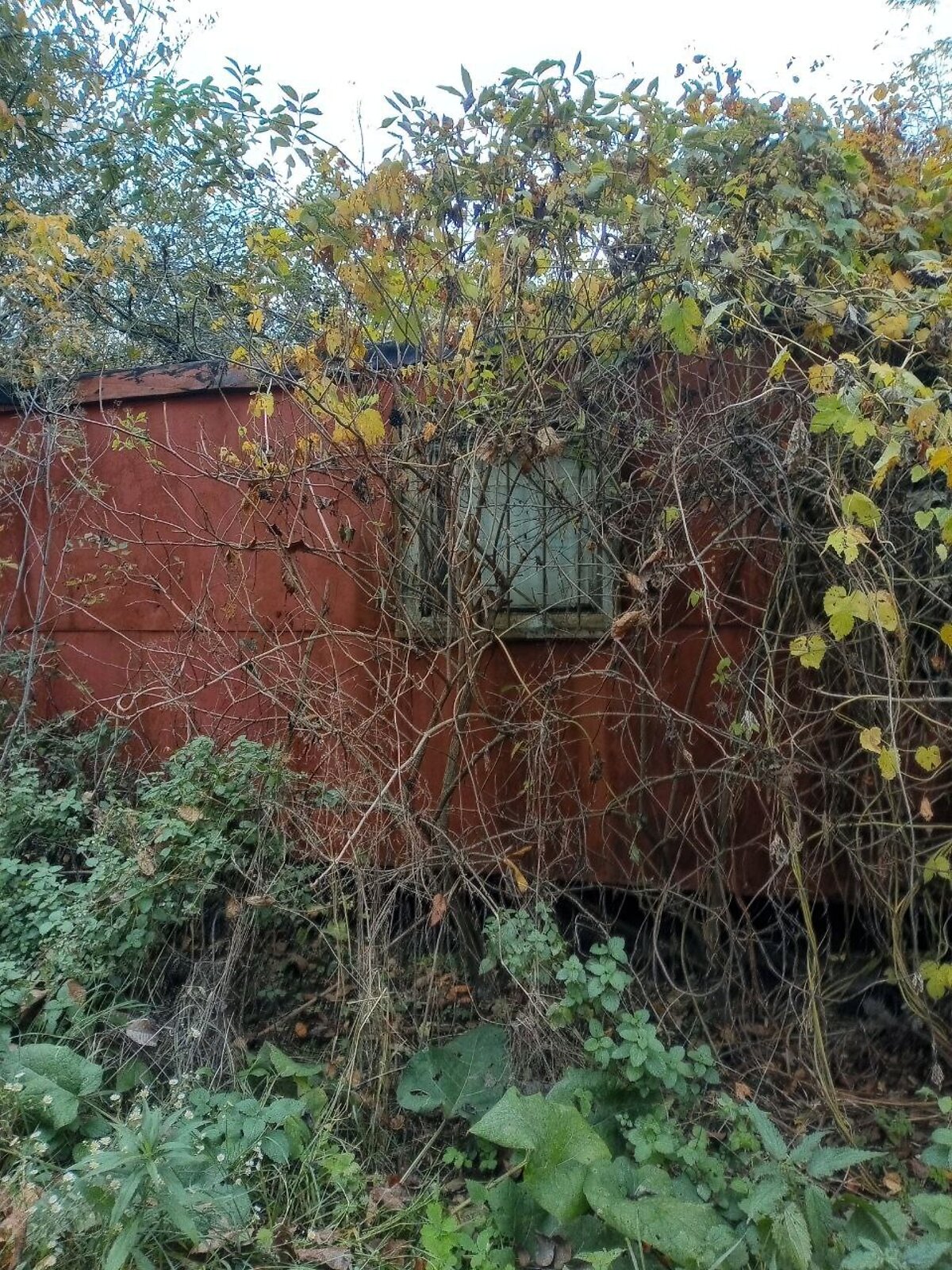 Земельный участок под жилую застройку в Великой Снитинке, площадь 17.11 сотки фото 1