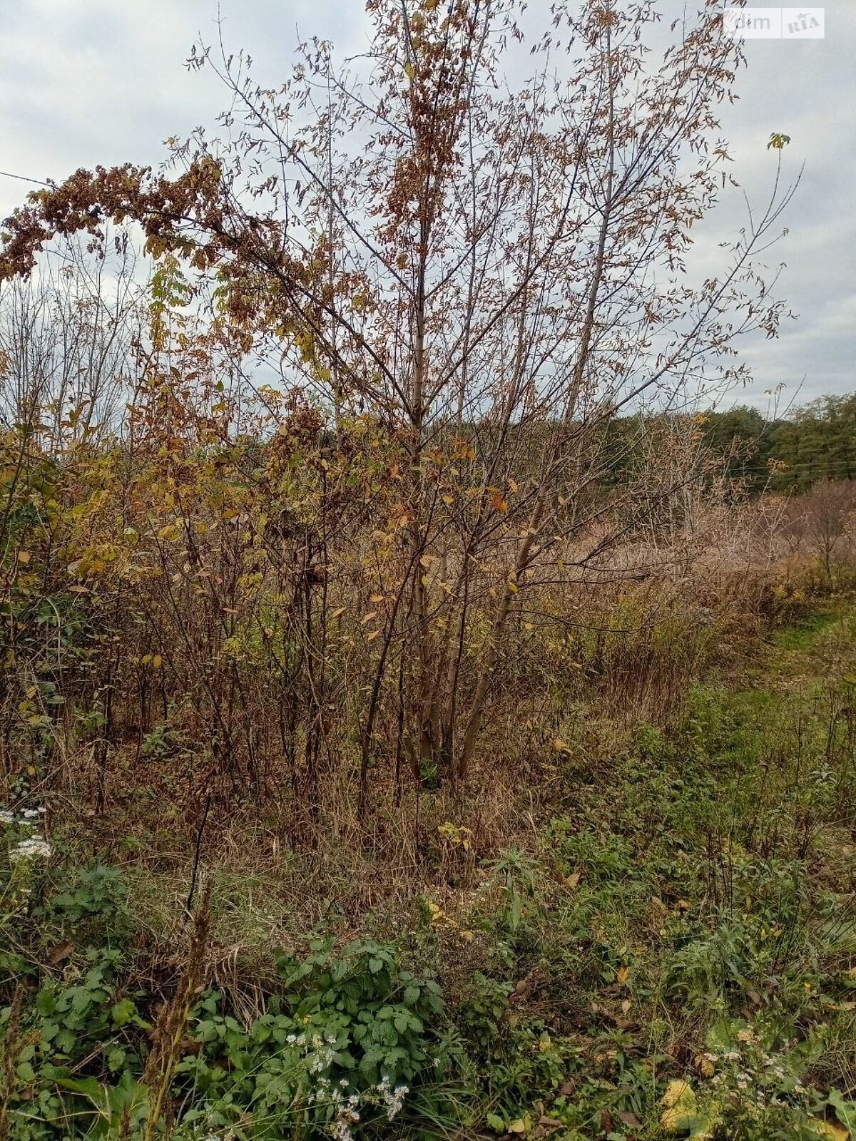 Земельный участок под жилую застройку в Великой Снитинке, площадь 17.11 сотки фото 1