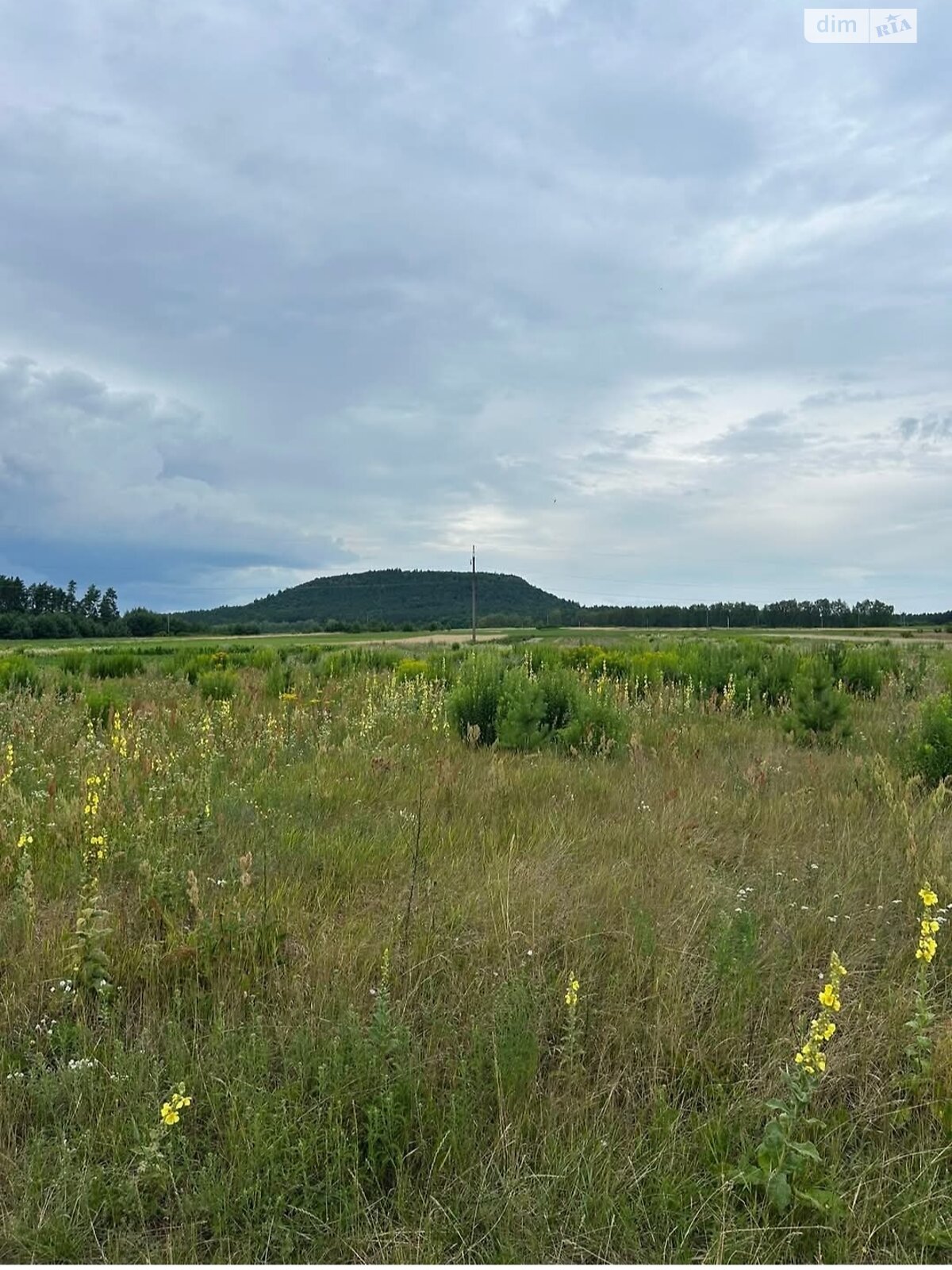 Земельный участок под жилую застройку в Великиких Бережцах, площадь 13.18 сотки фото 1
