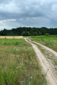Земельный участок под жилую застройку в Великиких Бережцах, площадь 13.18 сотки фото 2