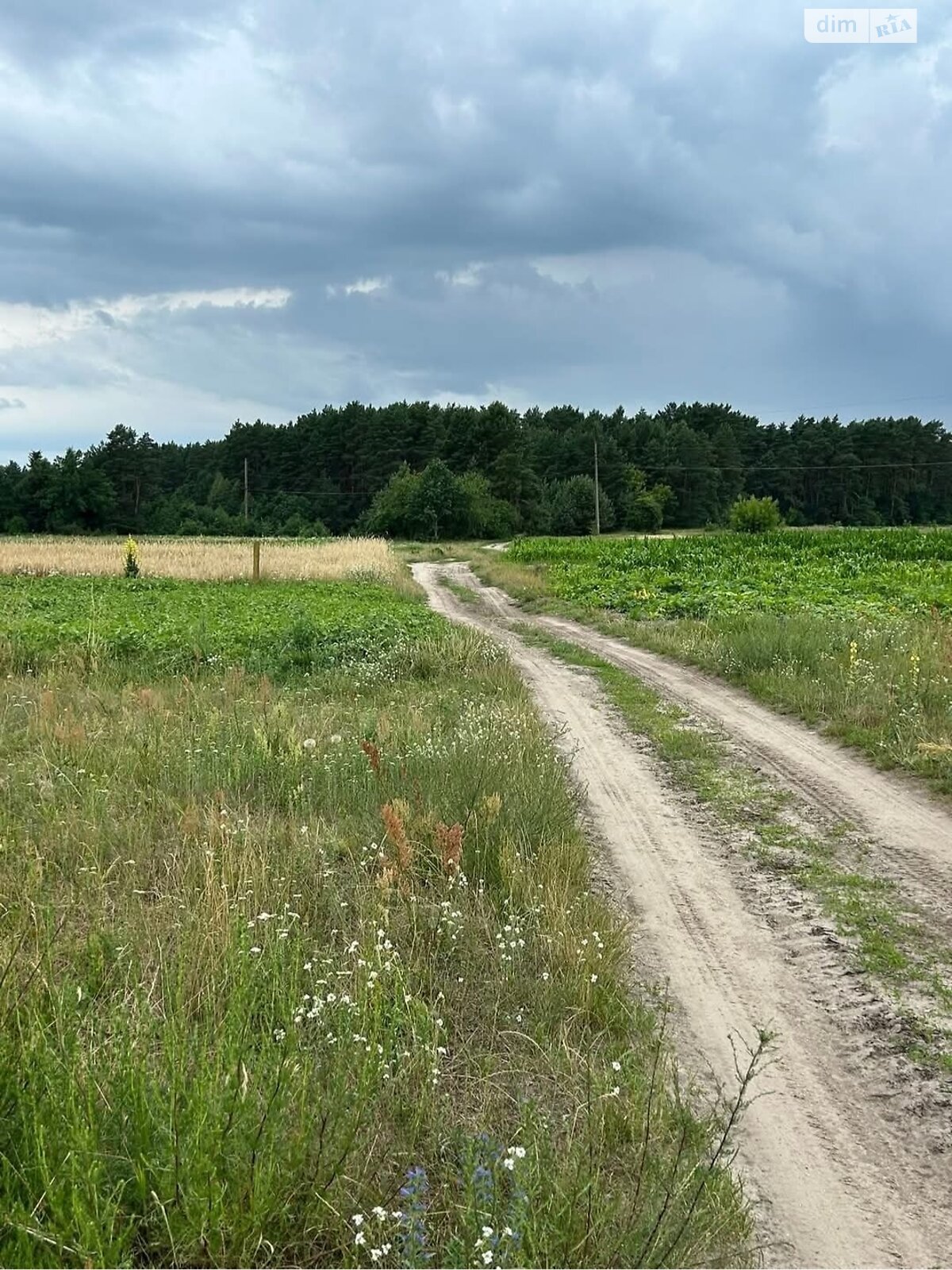 Земельный участок под жилую застройку в Великиких Бережцах, площадь 13.18 сотки фото 1