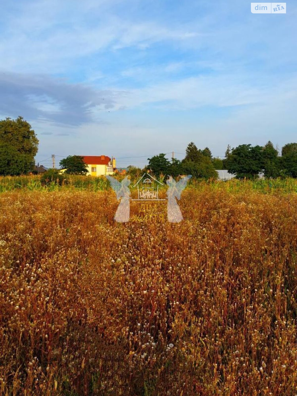 Земельный участок под жилую застройку в Великих Гаях, площадь 12 соток фото 1 Земельный участок под жилую застройку в Великих Гаях, площадь 12 соток фото 1