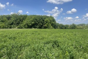 Земельна ділянка під житлову забудову в Великих Гаях, площа 16.22 сотки фото 2