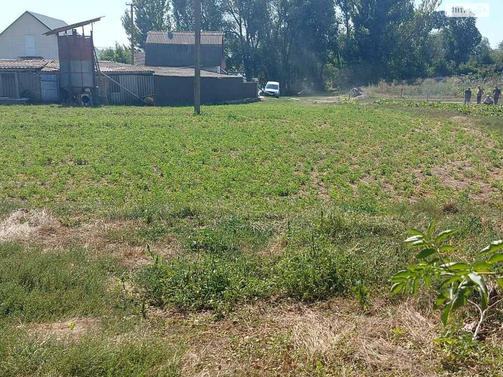Земельный участок под жилую застройку в Великих Крушлинцах, площадь 40 соток фото 1 Земельный участок под жилую застройку в Великих Крушлинцах, площадь 40 соток фото 1