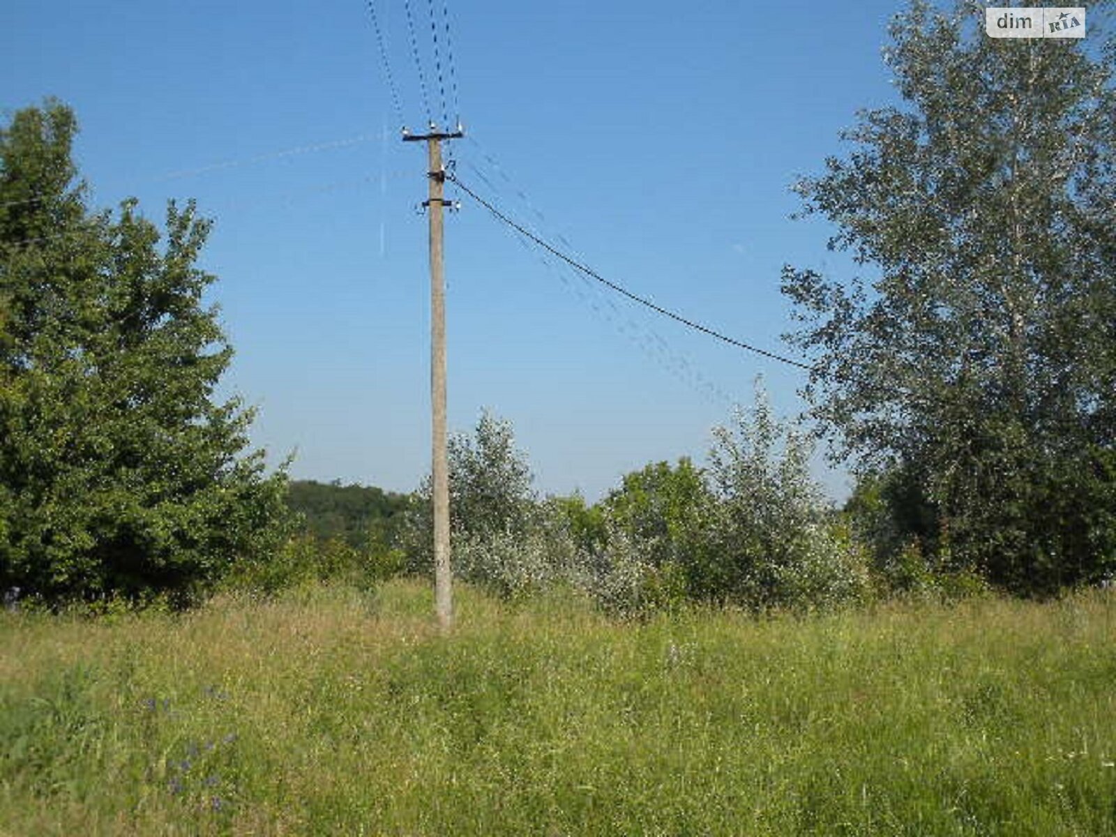 Земельна ділянка під житлову забудову в Великих Прицьках, площа 47.5 сотки фото 1 Земельна ділянка під житлову забудову в Великих Прицьках, площа 47.5 сотки фото 1
