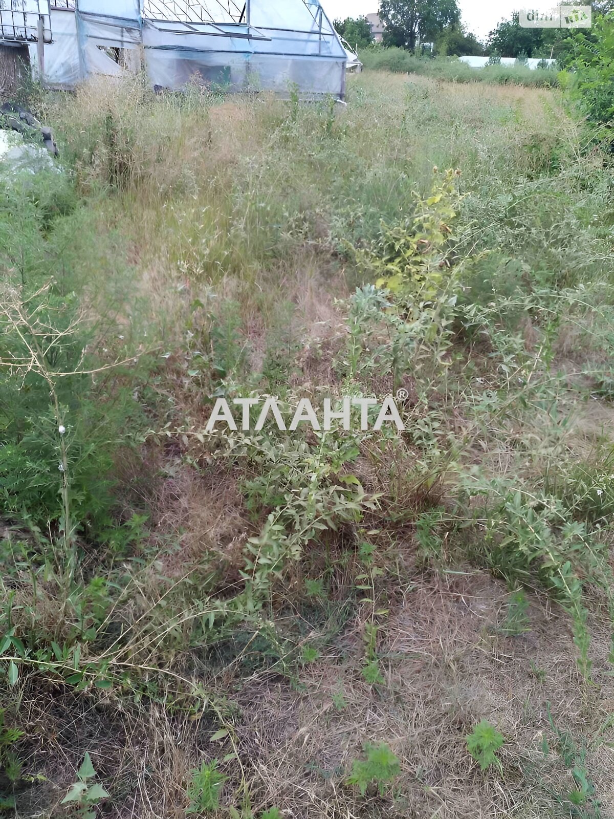 Земельна ділянка під житлову забудову в Великому Дальнику, площа 6 соток фото 1 Земельна ділянка під житлову забудову в Великому Дальнику, площа 6 соток фото 1