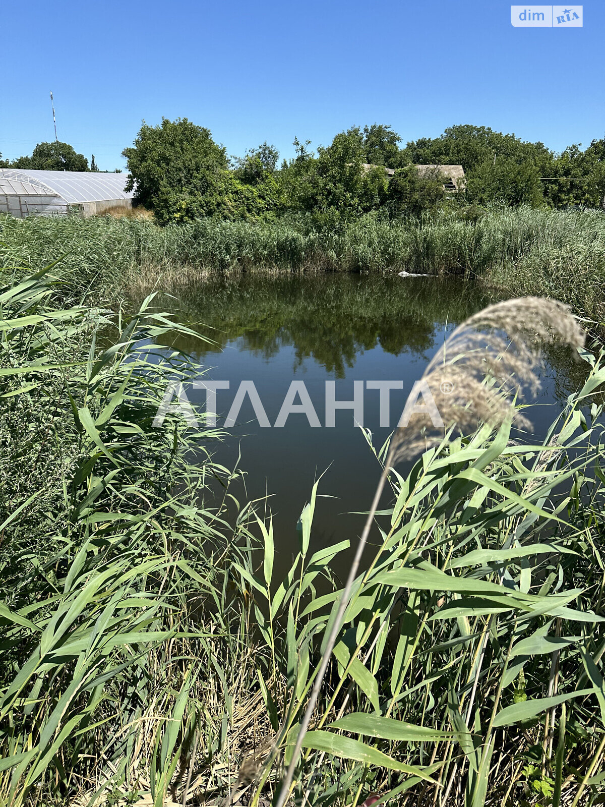 Земельный участок под жилую застройку в Великом Дальнике, площадь 25 соток фото 1 Земельный участок под жилую застройку в Великом Дальнике, площадь 25 соток фото 1