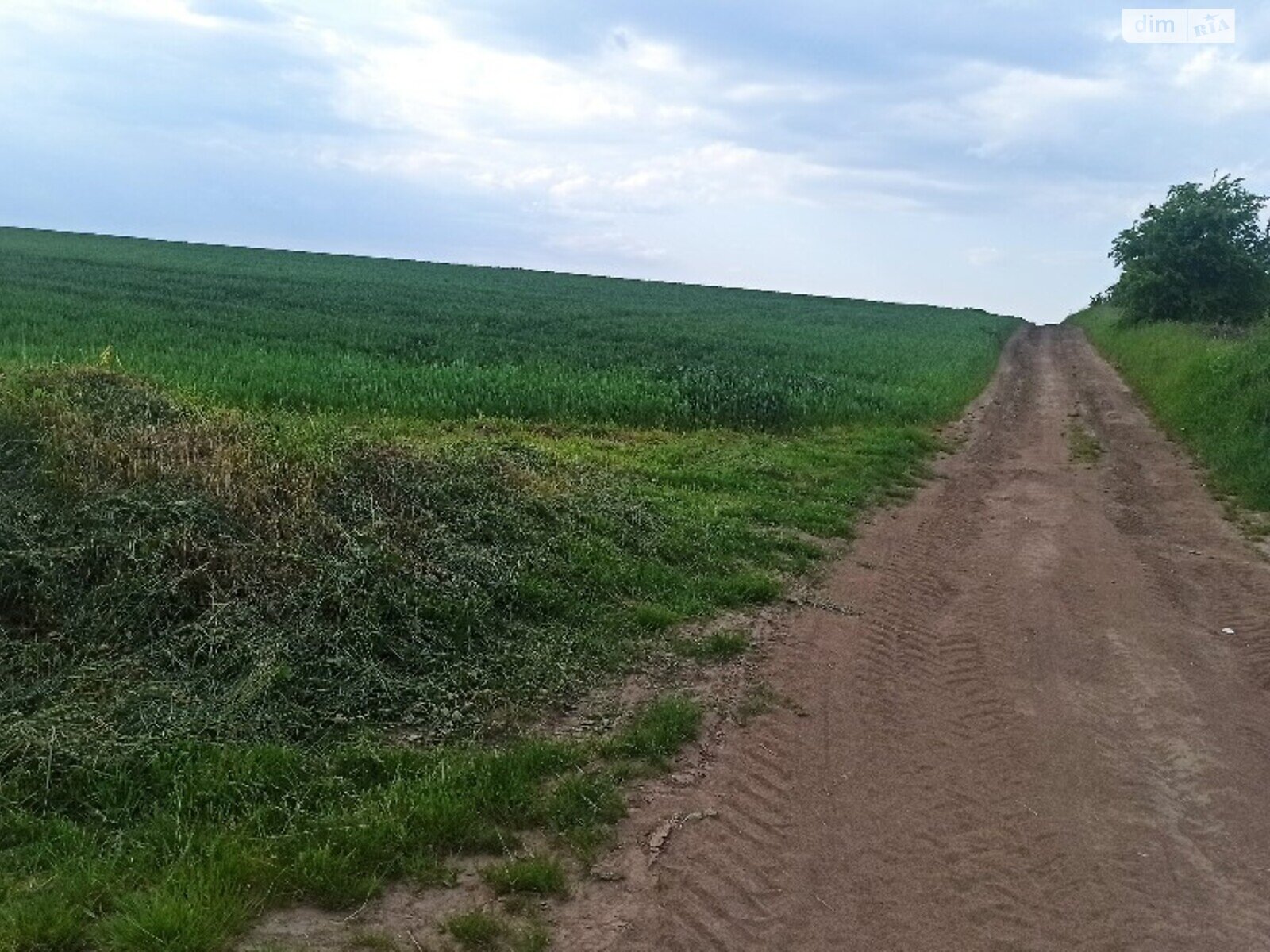 Земельный участок под жилую застройку в Великом Дорошове, площадь 400 соток фото 1