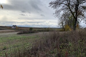 Земельна ділянка під житлову забудову в Великому Ходачкове, площа 60 соток фото 2 Земельна ділянка під житлову забудову в Великому Ходачкове, площа 60 соток фото 2