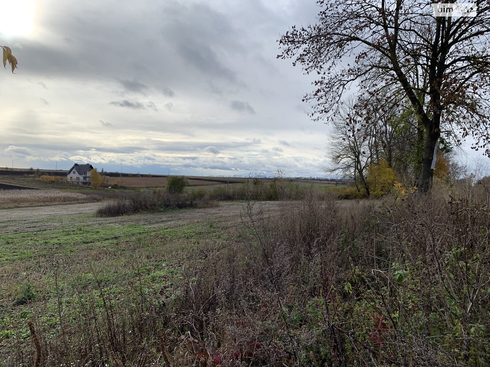 Земельна ділянка під житлову забудову в Великому Ходачкове, площа 60 соток фото 1 Земельна ділянка під житлову забудову в Великому Ходачкове, площа 60 соток фото 1