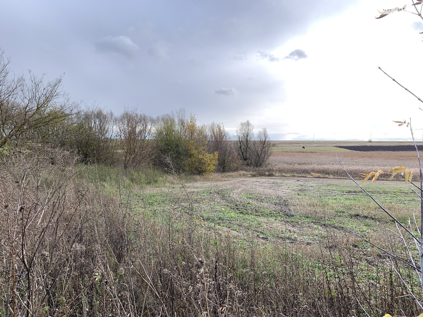 Земельна ділянка під житлову забудову в Великому Ходачкове, площа 60 соток фото 1 Земельна ділянка під житлову забудову в Великому Ходачкове, площа 60 соток фото 1