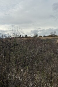 Земельный участок под жилую застройку в Плотыче, площадь 91 сотка фото 2 Земельный участок под жилую застройку в Плотыче, площадь 91 сотка фото 2