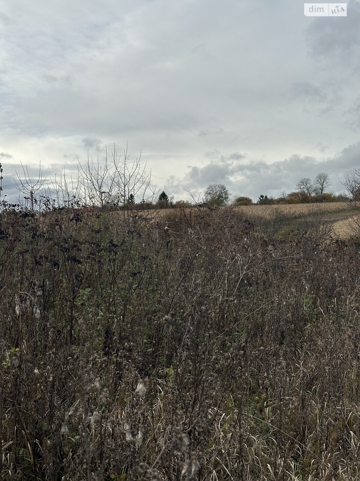 Земельный участок под жилую застройку в Плотыче, площадь 91 сотка фото 1 Земельный участок под жилую застройку в Плотыче, площадь 91 сотка фото 1