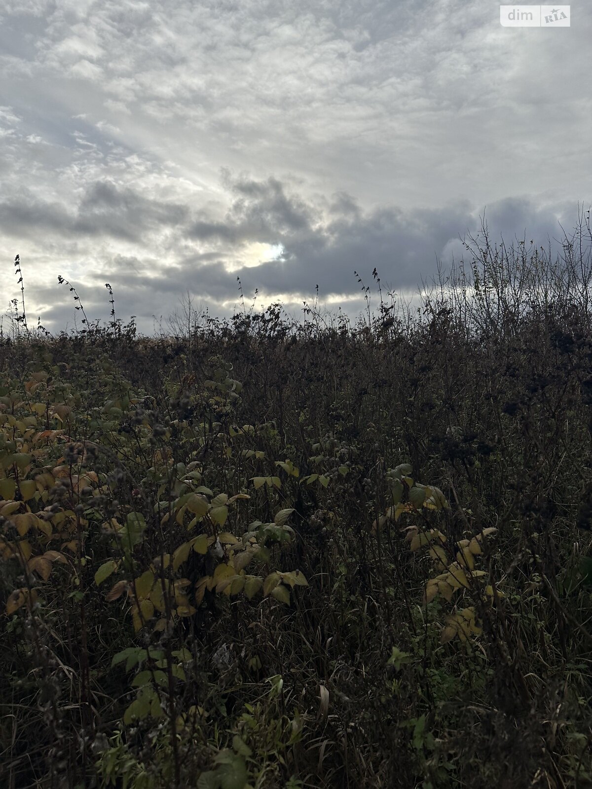 Земельный участок под жилую застройку в Плотыче, площадь 91 сотка фото 1 Земельный участок под жилую застройку в Плотыче, площадь 91 сотка фото 1