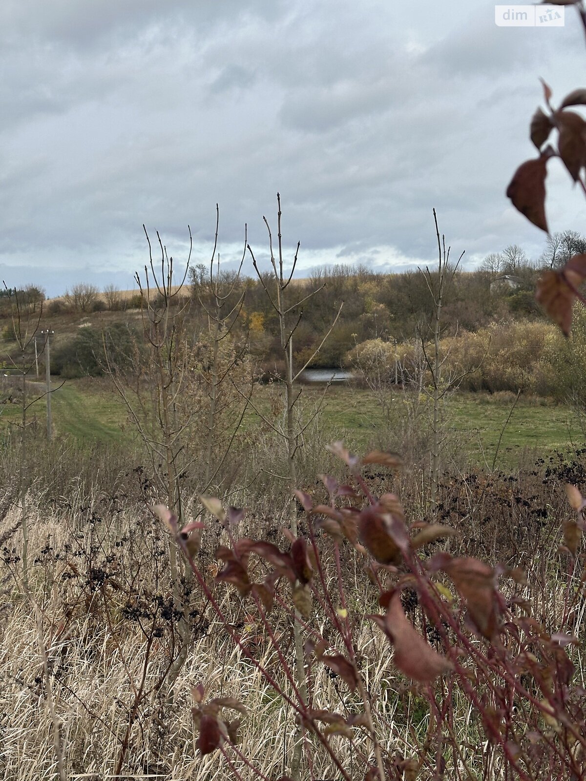 Земельный участок под жилую застройку в Плотыче, площадь 91 сотка фото 1 Земельный участок под жилую застройку в Плотыче, площадь 91 сотка фото 1