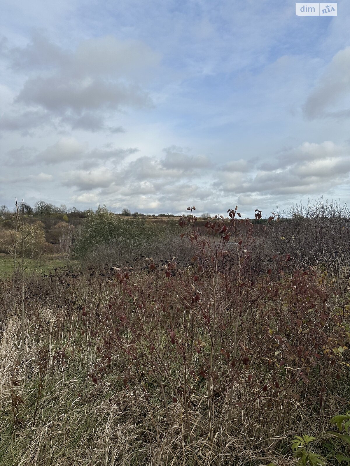 Земельный участок под жилую застройку в Плотыче, площадь 91 сотка фото 1 Земельный участок под жилую застройку в Плотыче, площадь 91 сотка фото 1