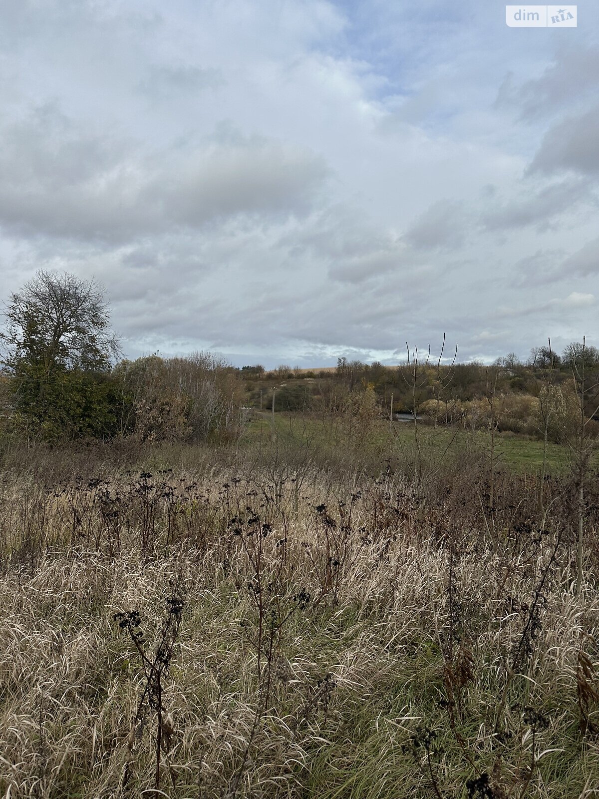 Земельный участок под жилую застройку в Плотыче, площадь 91 сотка фото 1 Земельный участок под жилую застройку в Плотыче, площадь 91 сотка фото 1