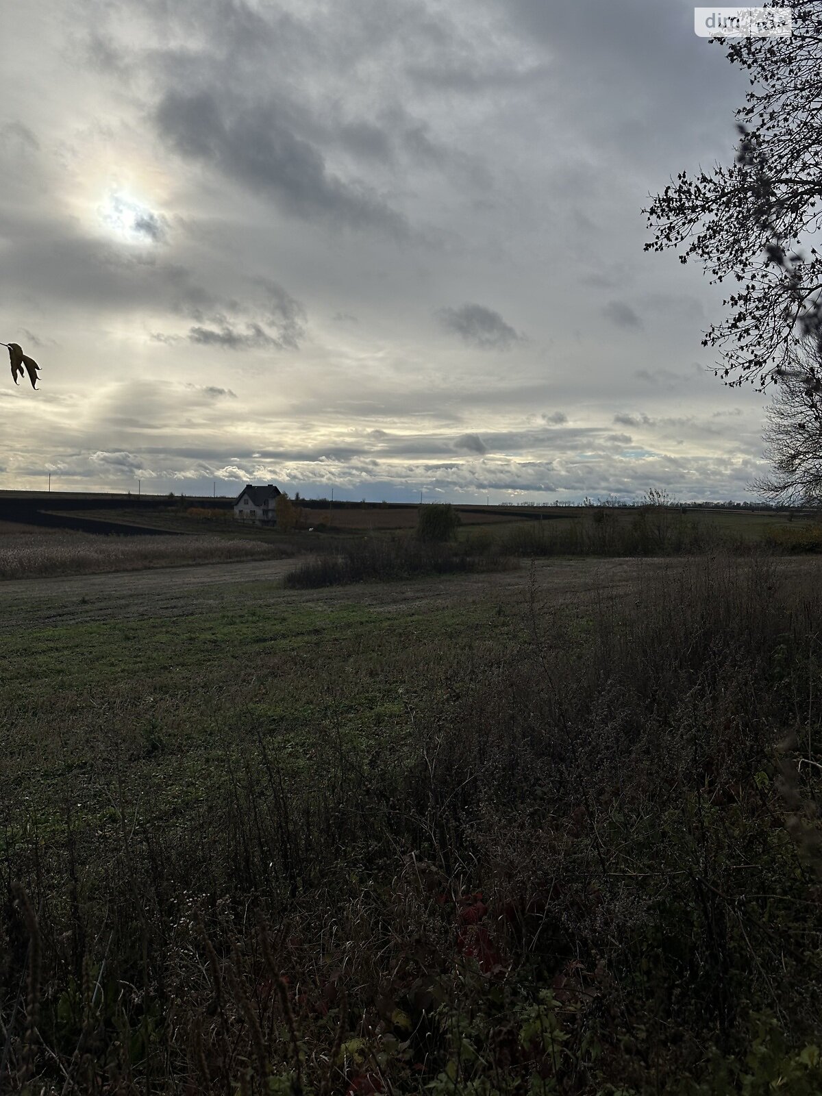 Земельный участок под жилую застройку в Плотыче, площадь 91 сотка фото 1 Земельный участок под жилую застройку в Плотыче, площадь 91 сотка фото 1