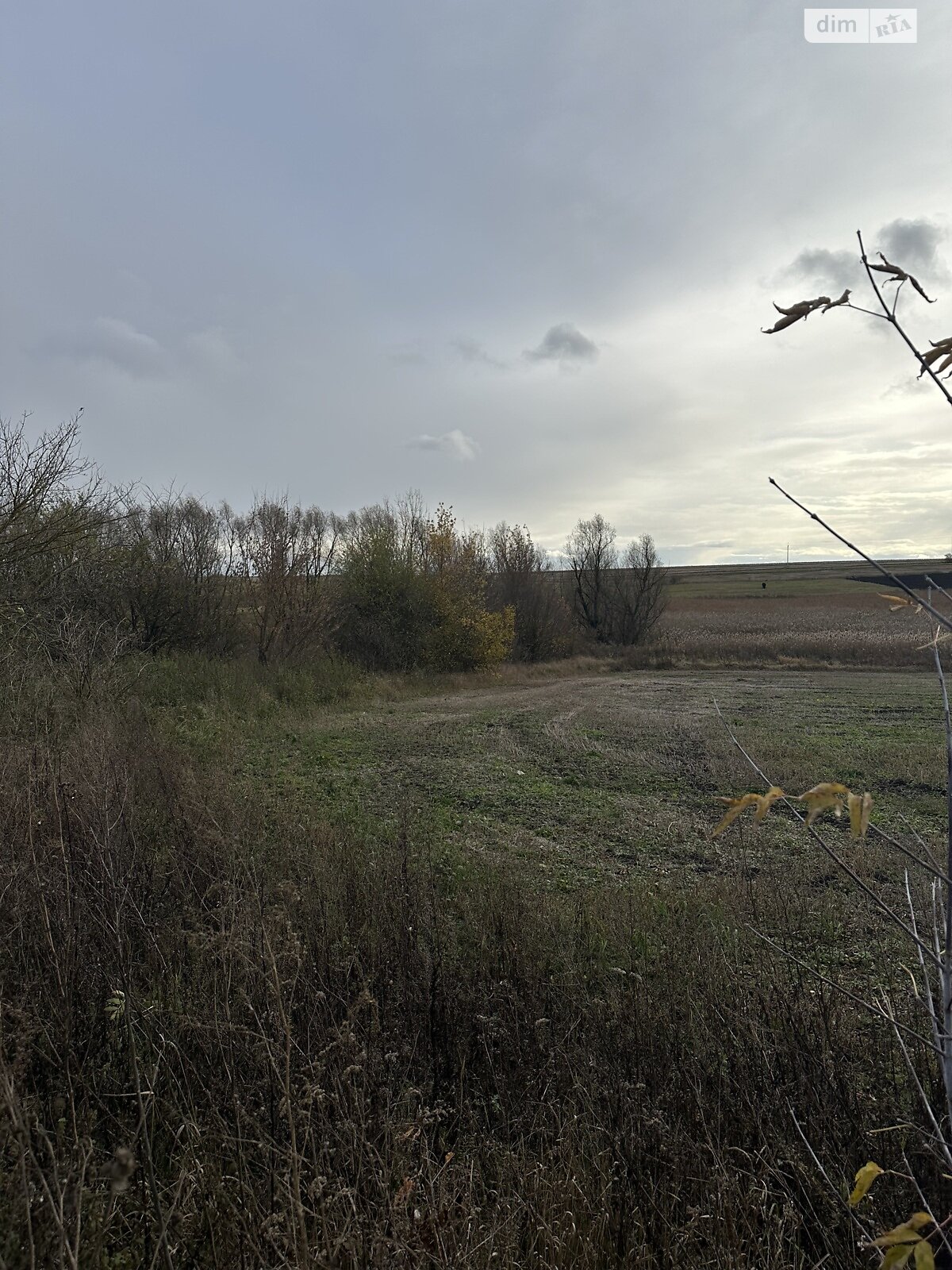 Земельный участок под жилую застройку в Плотыче, площадь 91 сотка фото 1 Земельный участок под жилую застройку в Плотыче, площадь 91 сотка фото 1