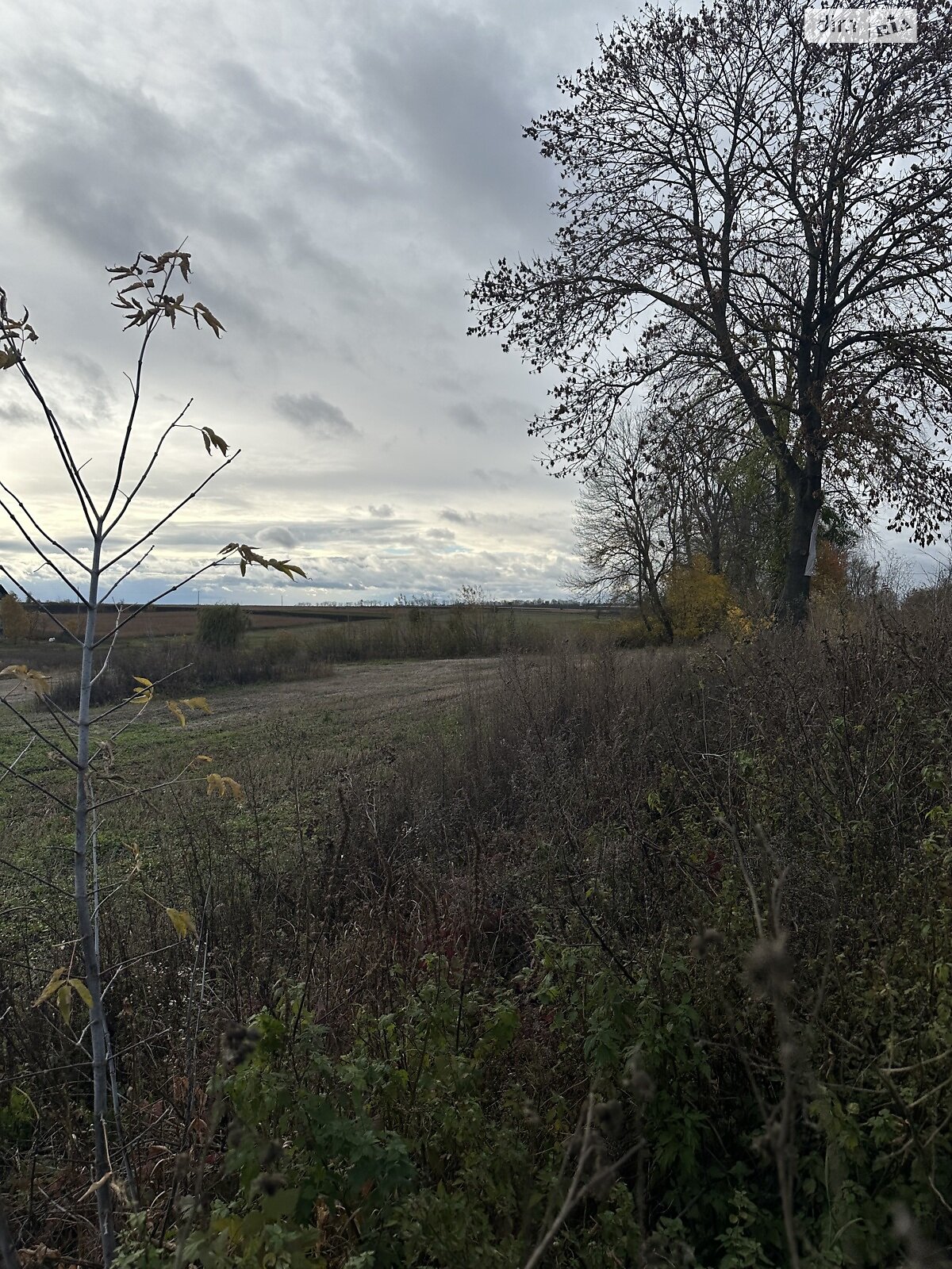 Земельный участок под жилую застройку в Плотыче, площадь 91 сотка фото 1 Земельный участок под жилую застройку в Плотыче, площадь 91 сотка фото 1