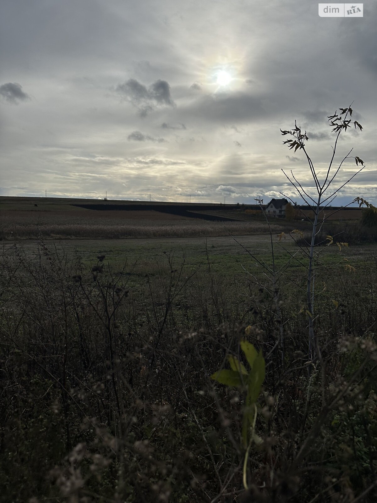 Земельный участок под жилую застройку в Плотыче, площадь 91 сотка фото 1 Земельный участок под жилую застройку в Плотыче, площадь 91 сотка фото 1