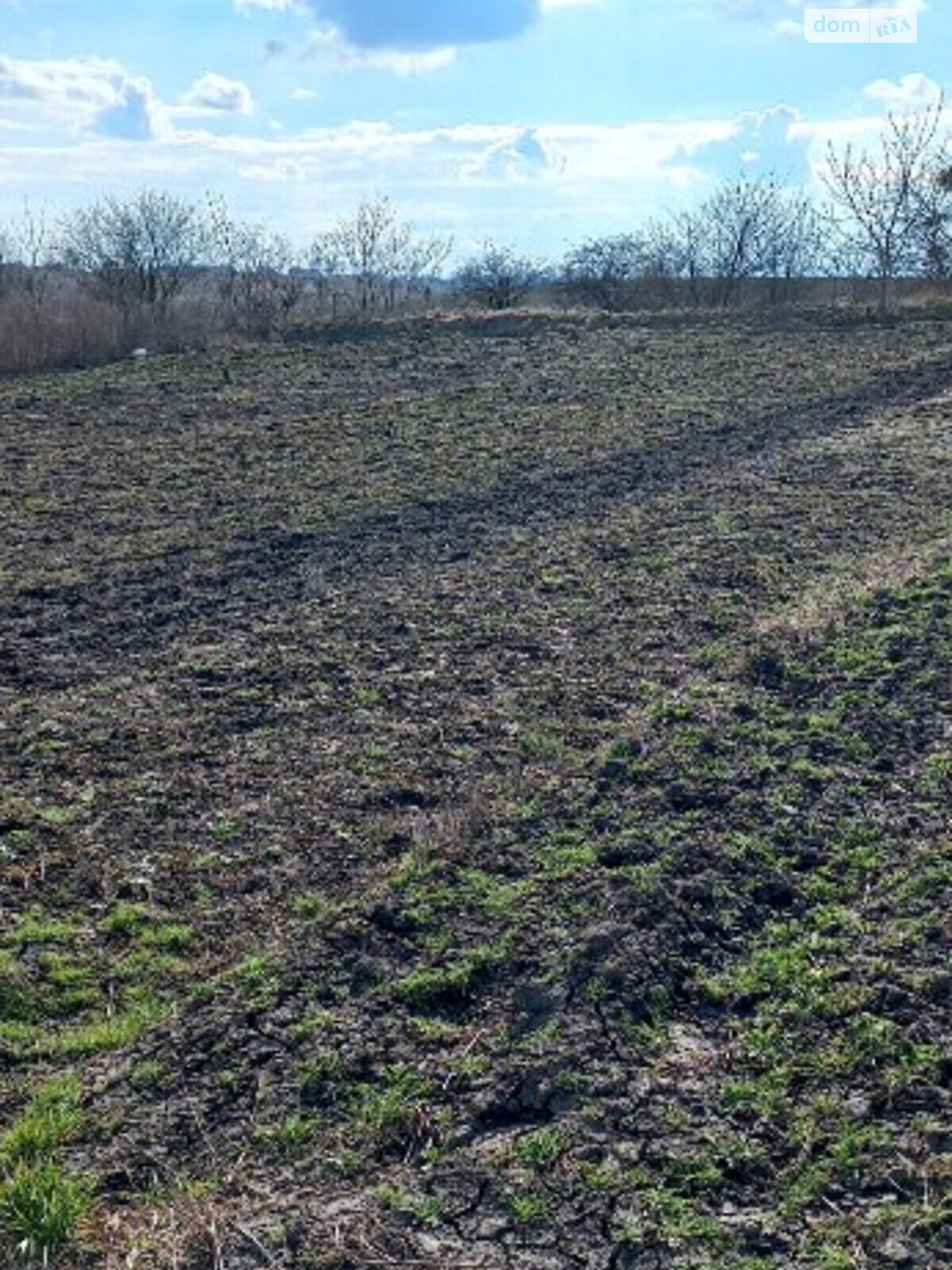 Земельна ділянка під житлову забудову в Великому Житині, площа 8.4 сотки фото 1