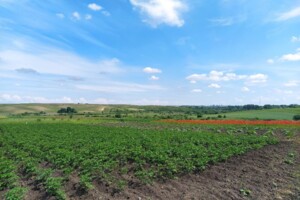 Земельна ділянка під житлову забудову в Великому Житині, площа 8.4 сотки фото 2