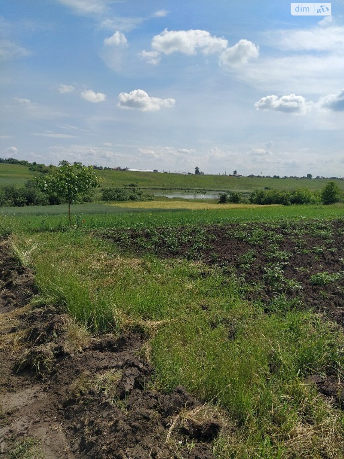 Земельна ділянка під житлову забудову в Великому Житині, площа 8.4 сотки фото 1