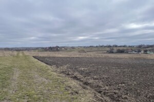 Земельна ділянка під житлову забудову в Великому Житині, площа 15 соток фото 2