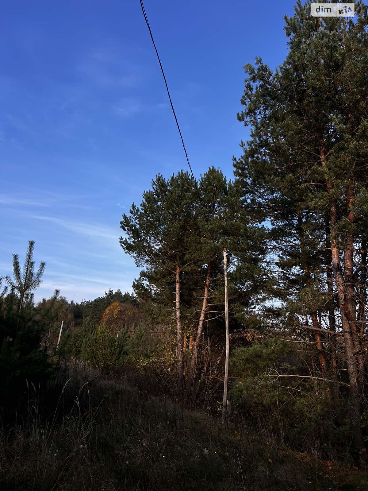 Земельный участок под жилую застройку в Великом Житине, площадь 17.57 сотки фото 1