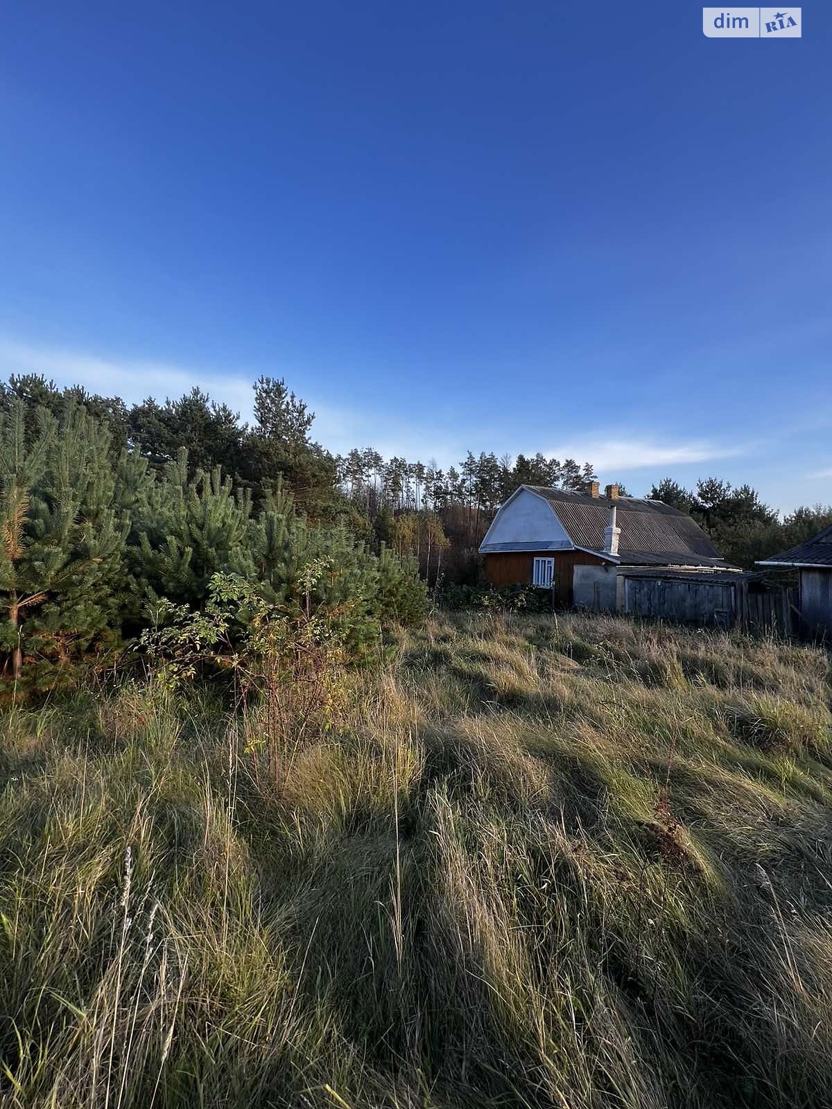 Земельный участок под жилую застройку в Великом Житине, площадь 17.57 сотки фото 1