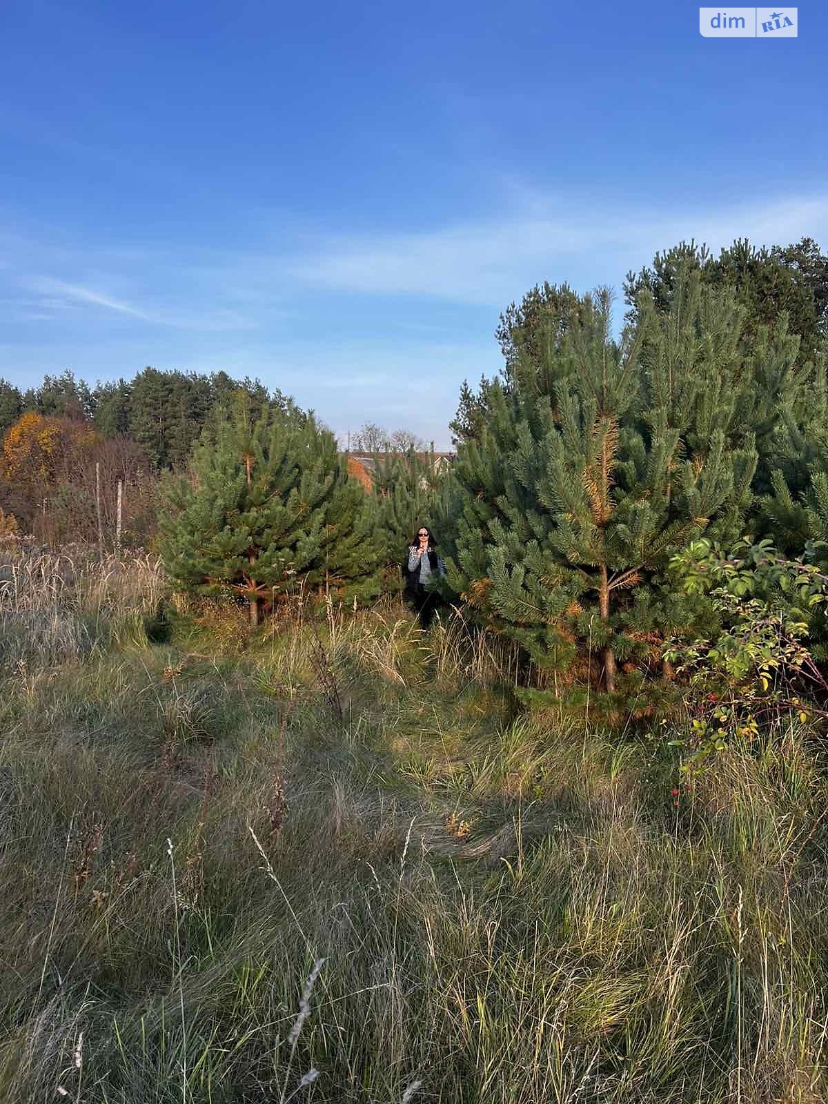 Земельный участок под жилую застройку в Великом Житине, площадь 17.57 сотки фото 1