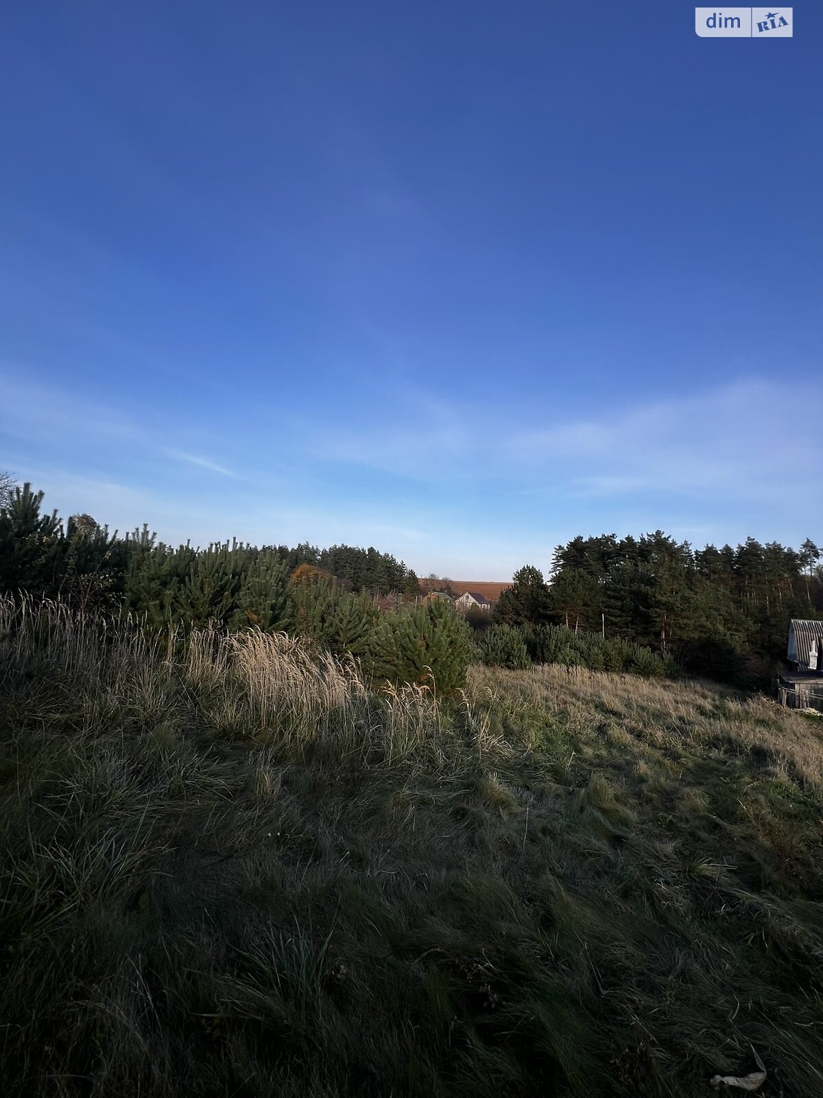 Земельный участок под жилую застройку в Великом Житине, площадь 17.57 сотки фото 1