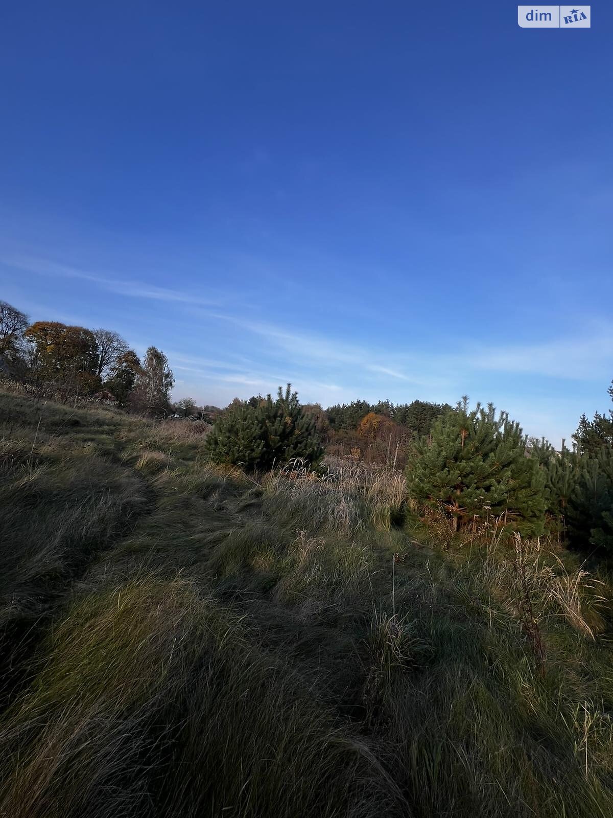 Земельный участок под жилую застройку в Великом Житине, площадь 17.57 сотки фото 1