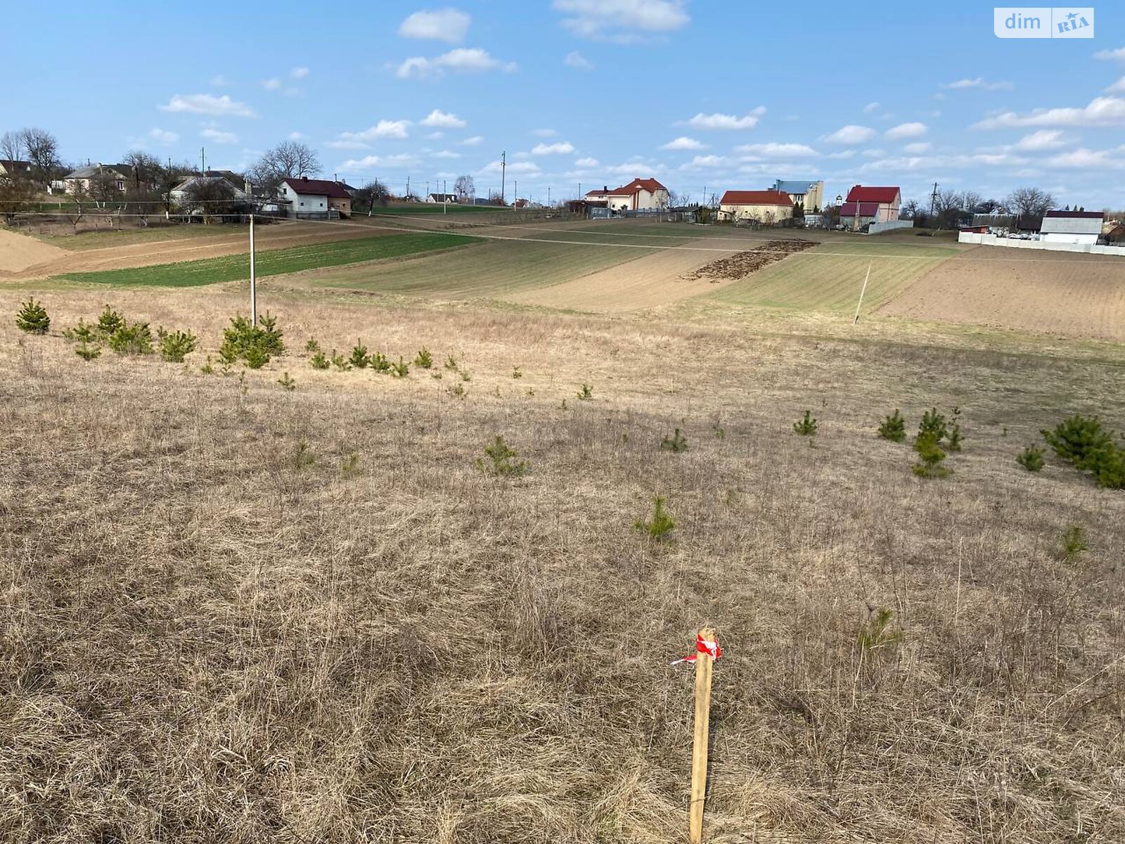 Земельный участок под жилую застройку в Великом Житине, площадь 8.28 сотки фото 1